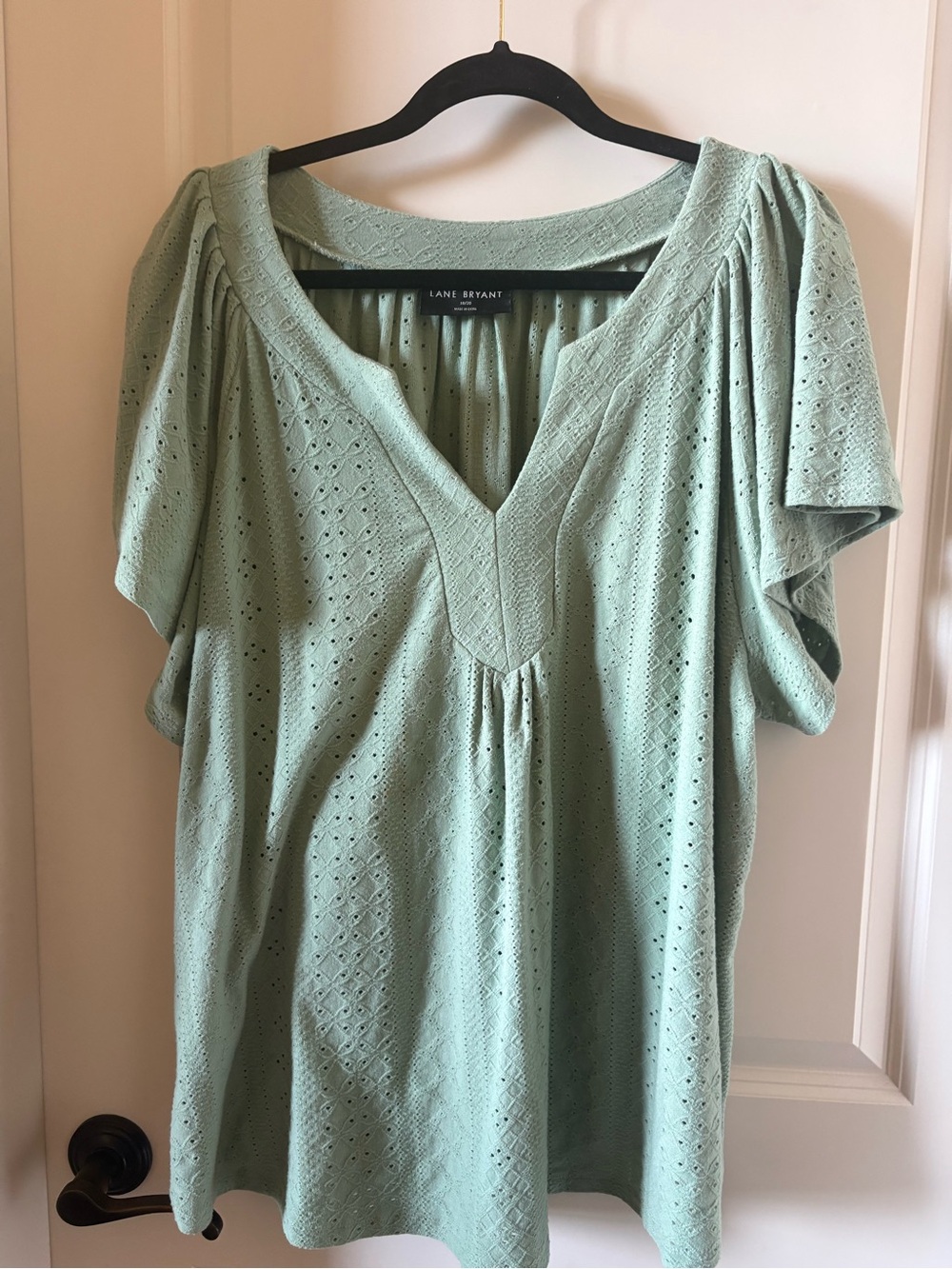 Lane Bryant Mint Green Eyelet V-Neck Tunic Top